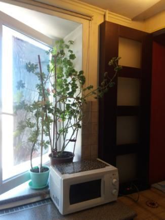 Апарт-отели Aparthotel Flora Харьков-33